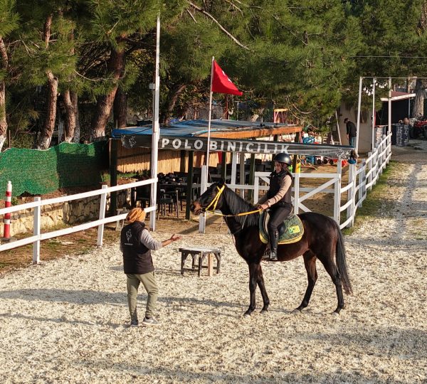 Temel ve Profesyonel Binicilik Eğitimi
