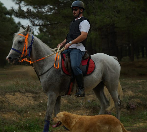 Atlı Doğa ve Safari Turları